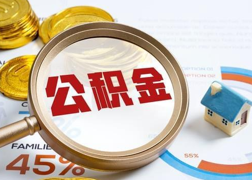 枣庄2025年政策调整对个人影响综合解析‌